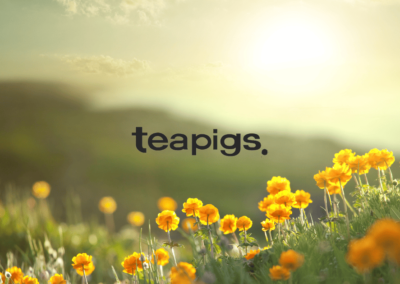 Complete Guide to Recycling Teapigs Tea Bags | Teapigs