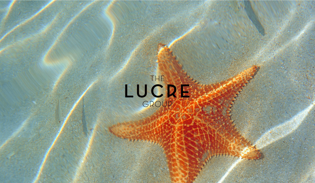 The Top Travel Influencer Marketing Trends for 2022 | The Lucre Group