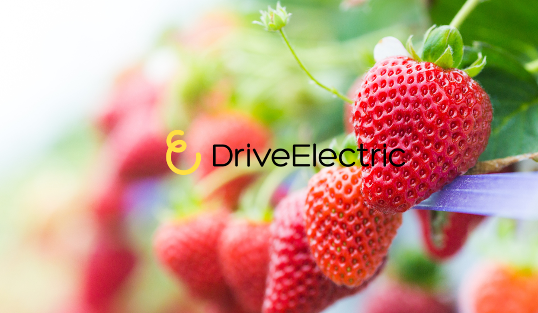The Importance of a Sustainable Food Supply Chain | DriveElectric