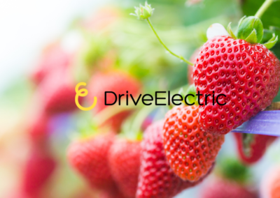 The Importance of a Sustainable Food Supply Chain | DriveElectric